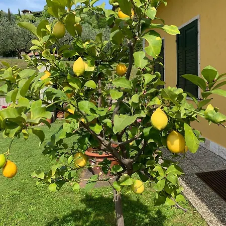 Apartamento Poli Villa's Bardolino